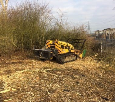 Vegetation and undergrowth clearance on a development site