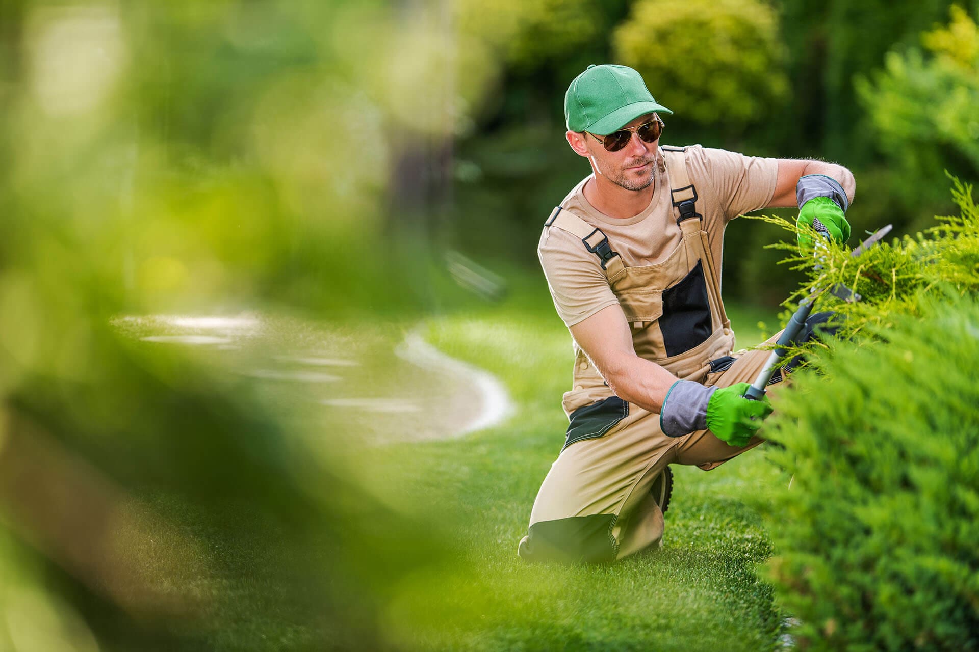 Hedge cutting on a maintained boundary